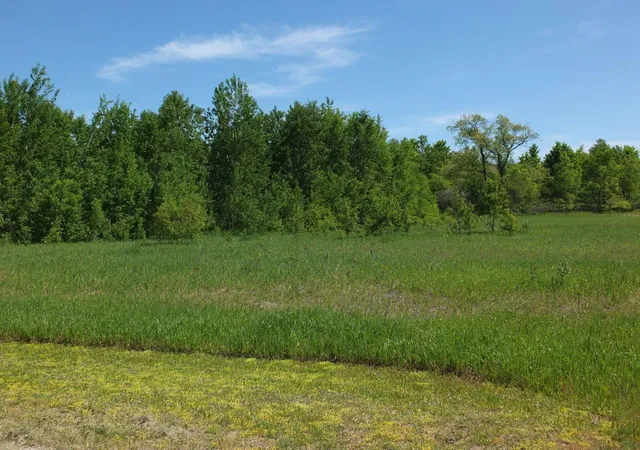 1st image of 9273 Kingsfield Dr, Kingsley, MI 49649 | MLS# 78080068069