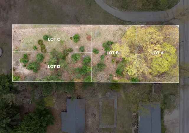 3rd image of Tbd Lot C W Cayuga St, Bellaire, MI 49615 | MLS# 78080068089