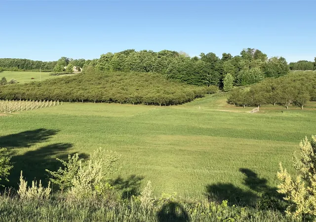Photo 2 of Land for sale at 11751 Center Rd, Traverse City, MI 49686 | MLS# 78080068132 | Listing updated on 2026-09-02