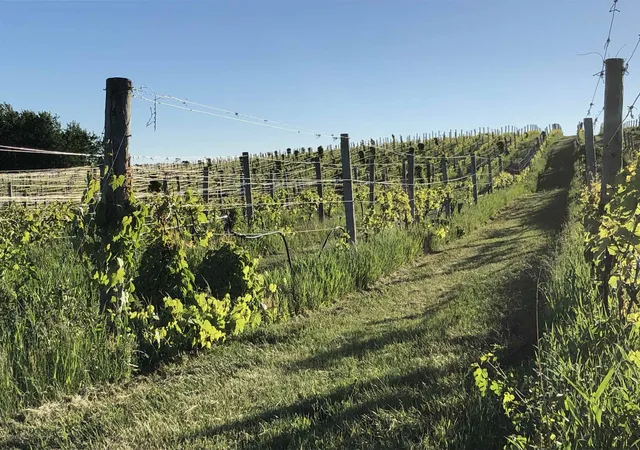 Photo 3 of Land for sale at 11751 Center Rd, Traverse City, MI 49686 | MLS# 78080068132 | Listing updated on 2026-09-02
