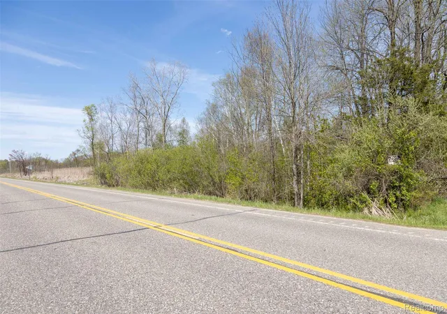 Photo 2 of Land for sale at 0 Washburn Rd, Otter Lake, MI 48464 | MLS# 20261034156 | Listing updated on 2026-09-03