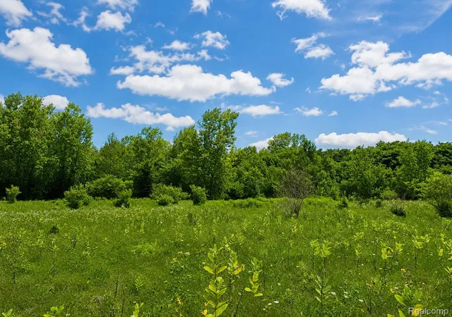Photo 1 of Land for sale at 115 White Tail Dr, Grand Blanc Charter Township Genesee, MI 48439 | MLS# 20261034353 | Listing updated on 2026-08-17