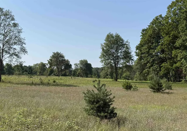 Homes for sale in Maple City, MI | Parcel A6 S Bright Rd, Maple City, MI 49664 | MLS# 78080068173