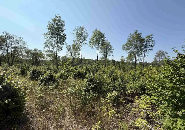 Homes for sale in Maple City, MI | Parcel A3 E Kasson Rd, Maple City, MI 49664 | MLS# 78080068174