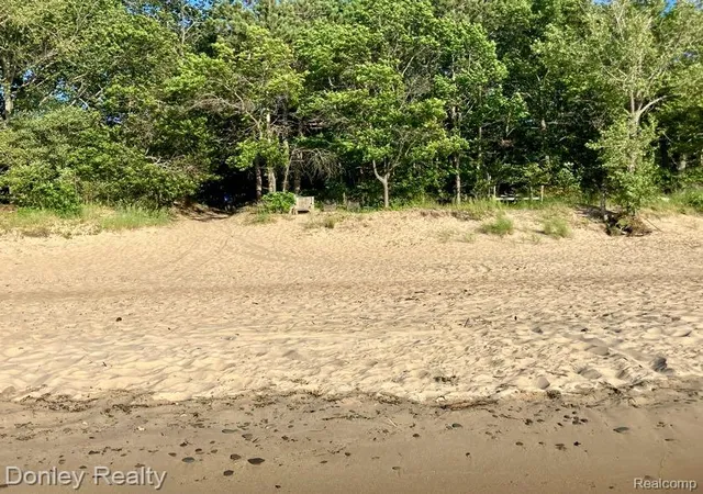 29th image of 977 Port Austin Rd, Port Austin, MI 48467 | MLS# 20261034527