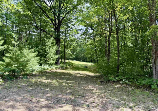 Photo 3 of Land for sale at 4247 Sw Bald Eagles View, Boardman Township Kalkaska, MI 49680 | MLS# 78080068191 | Listing updated on 2026-06-29