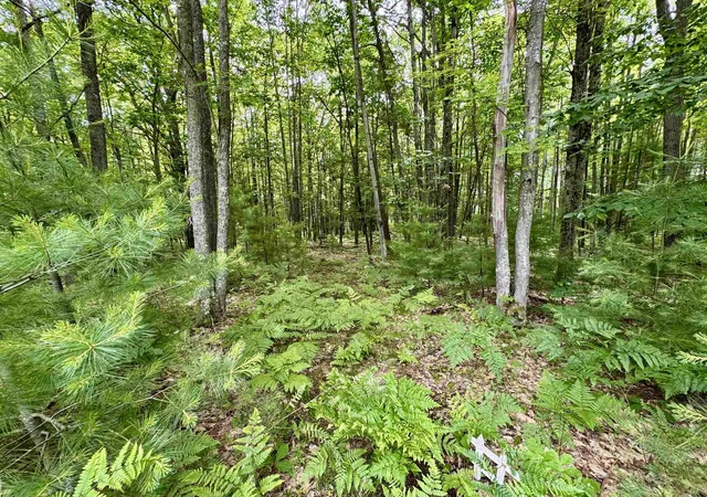 Photo 4 of Land for sale at 4247 SW Bald Eagles View, Boardman Township Kalkaska, MI 49680 | MLS# 78080068191 | Listing updated on 2026-06-29