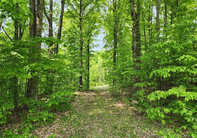 1st image of V/l Ravens Roost, Traverse City, MI 49696 | MLS# 78080068212