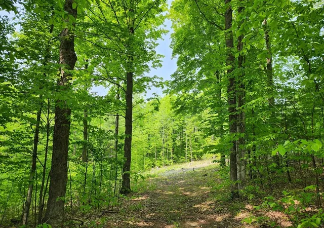 2nd image of V/l Ravens Roost, Traverse City, MI 49696 | MLS# 78080068212