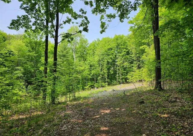 3rd image of V/L Ravens Roost, Traverse City, MI 49696 | MLS# 78080068212