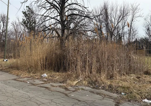 1st image of 19202 Coventry St, Highland Park, MI 48203 | MLS# 20261034782