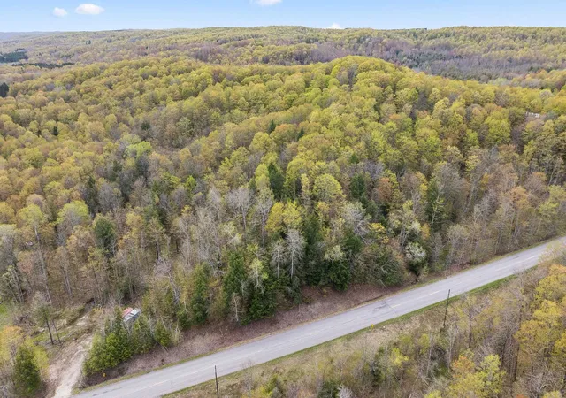 53rd image of 4839 Bunker Hill Rd, Central Lake, MI 49622 | MLS# 78080068334