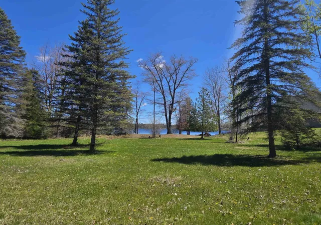 Photo 1 of Land for sale at 00 Bliss Rd, Hale, MI 48739 | MLS# 77080068352 | Listing updated on 2026-05-19
