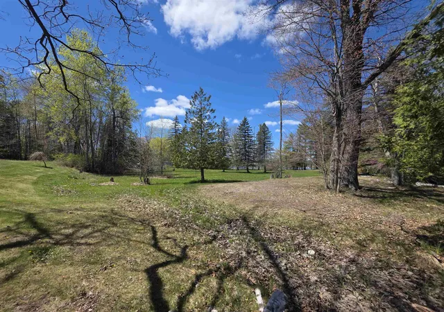 Photo 3 of Land for sale at 00 Bliss Rd, Hale, MI 48739 | MLS# 77080068352 | Listing updated on 2026-05-19