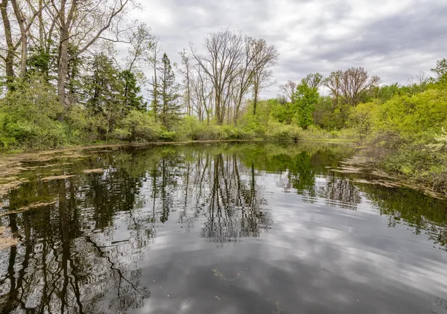 5th image of 59021 County Road 215, Lawrence, MI 49064 | MLS# 69026022997