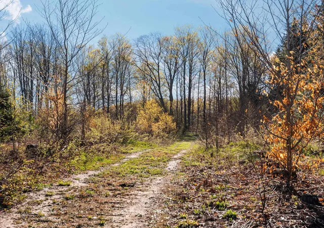 Photo 2 of Land for sale at 00 E 20 Road, Manton, MI 49663 | MLS# 78080068371 | Listing updated on 2026-07-10
