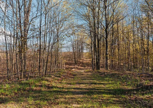Photo 3 of Land for sale at 00 E 20 Road, Manton, MI 49663 | MLS# 78080068371 | Listing updated on 2026-07-10