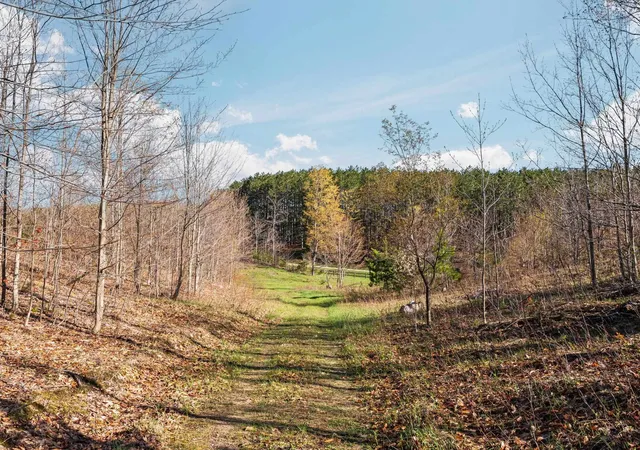 Photo 4 of Land for sale at 00 E 20 Road, Manton, MI 49663 | MLS# 78080068371 | Listing updated on 2026-07-10