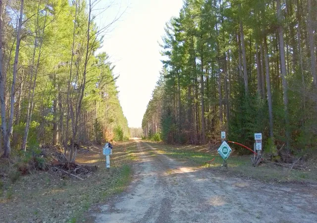 2nd image of Se Spencer Rd, Kalkaska, MI 49646 | MLS# 78080068387