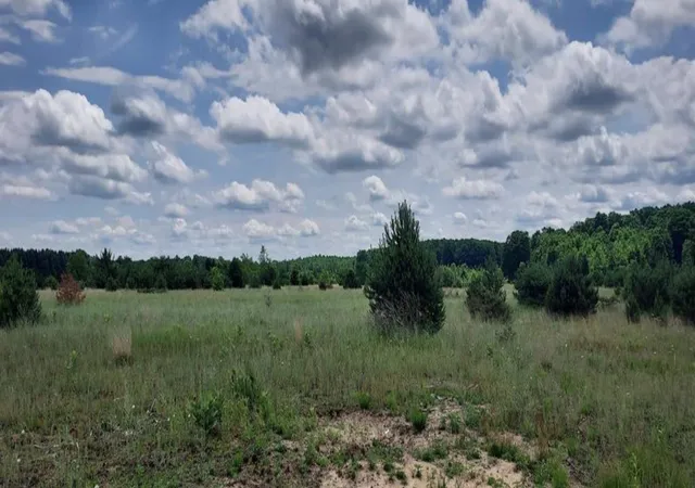 2nd image of Lot N E Sparling Rd, Paradise Township Grand Traverse, MI 49649 | MLS# 78080068409