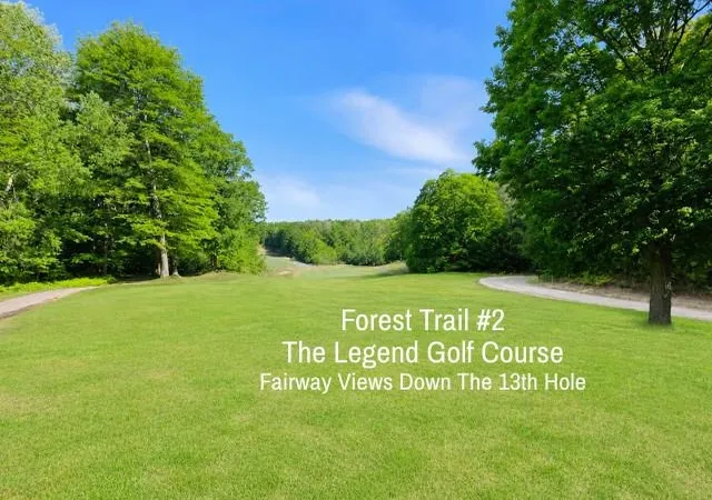 1st image of 2 Forest Trl, Bellaire, MI 49615 | MLS# 78080068412