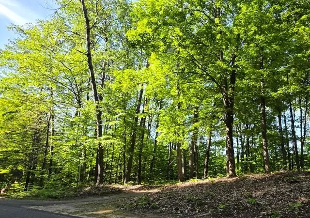 3rd image of 2 Forest Trl, Bellaire, MI 49615 | MLS# 78080068412