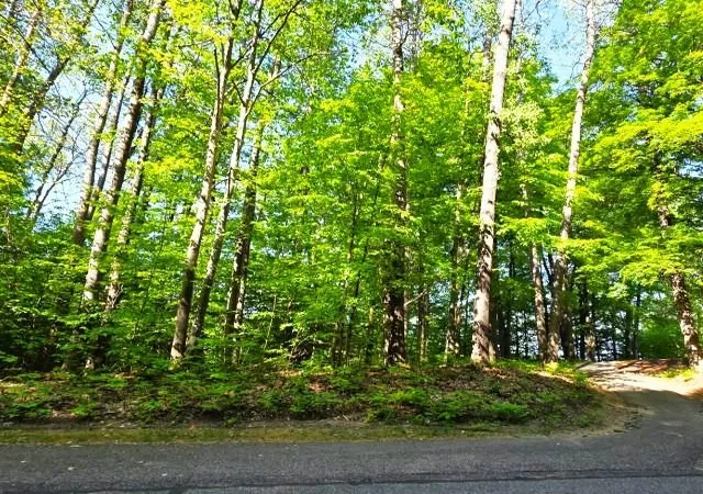 4th image of 2 Forest Trl, Bellaire, MI 49615 | MLS# 78080068412