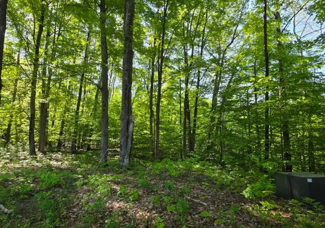 5th image of 2 Forest Trl, Bellaire, MI 49615 | MLS# 78080068412