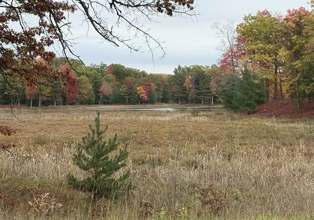 146th image of 7584 Railroad Grade, Saint Helen, MI 48656 | MLS# 68026023190
