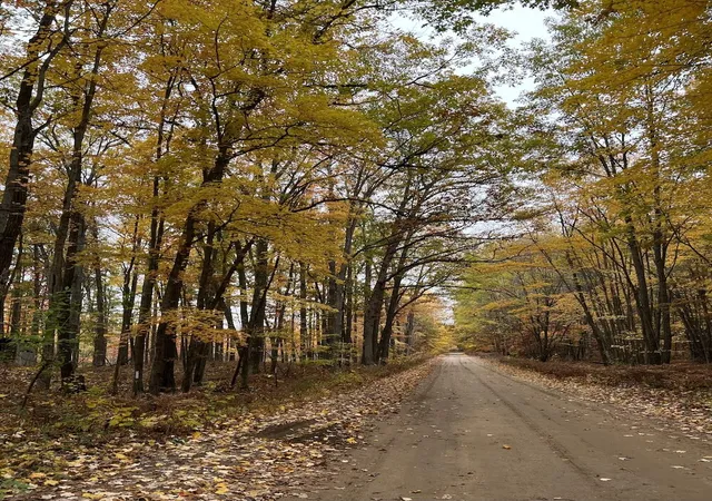 4th image of 7584 Railroad Grade, Saint Helen, MI 48656 | MLS# 68026023190
