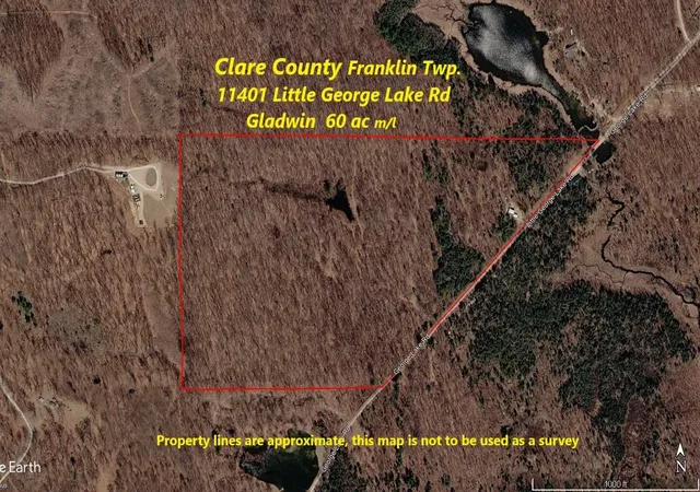 Photo 3 of Single family home for sale at 11401 Little George Lake Rd, Gladwin, MI 48624 | MLS# 53026023369 | Listing updated on 2026-09-01
