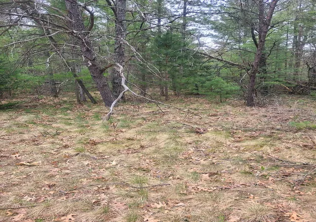 4th image of 3856 Old State Rd, National City, MI 48748 | MLS# 77080068460