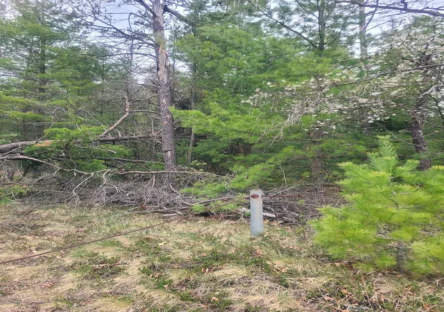 Photo 4 of Land for sale at 3856 Old State Rd, National City, MI 48748 | MLS# 77080068460 | Listing updated on 2026-09-09