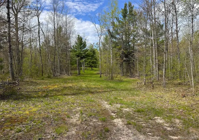 27th image of 5469 Orchard Trail Rd, Frederic Township Crawford, MI 49733 | MLS# 20261036492