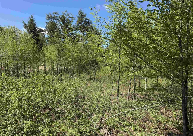Photo 3 of Land for sale at 8787 Hemlock Hl Dr, Long Lake Township Grand Traverse, MI 49685 | MLS# 78080068515 | Listing updated on 2026-06-09