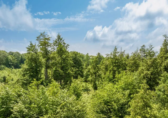 Photo 4 of Land for sale at 8787 Hemlock Hl Dr, Long Lake Township Grand Traverse, MI 49685 | MLS# 78080068515 | Listing updated on 2026-06-09