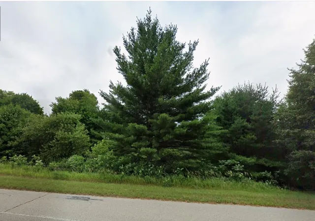 Photo 4 of Land for sale at Tbd E Division St, Cadillac, MI 49601 | MLS# 78080068524 | Listing updated on 2026-05-23
