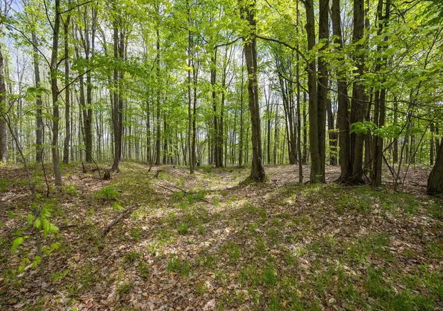 1st image of 16130 140th Ave, Leroy, MI 49655 | MLS# 78080068567