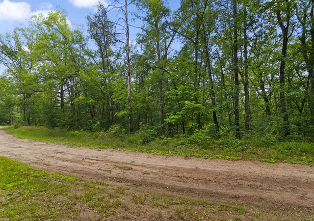 1st image of V/l W Pontiac St, Baldwin, MI 49304 | MLS# 78080068598