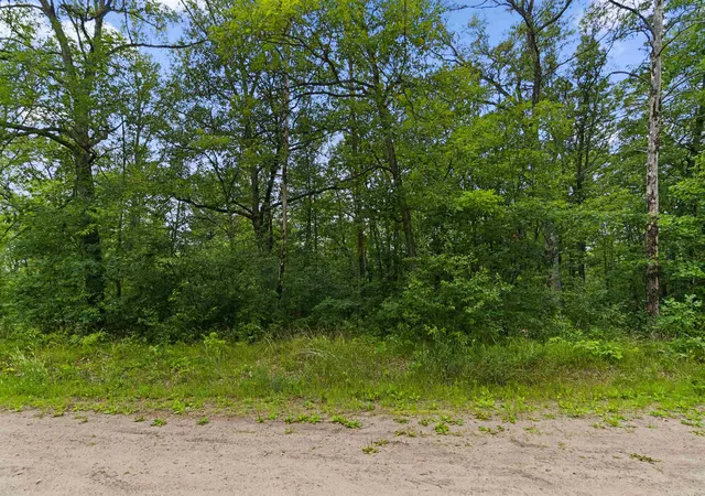 2nd image of V/l W Pontiac St, Baldwin, MI 49304 | MLS# 78080068598