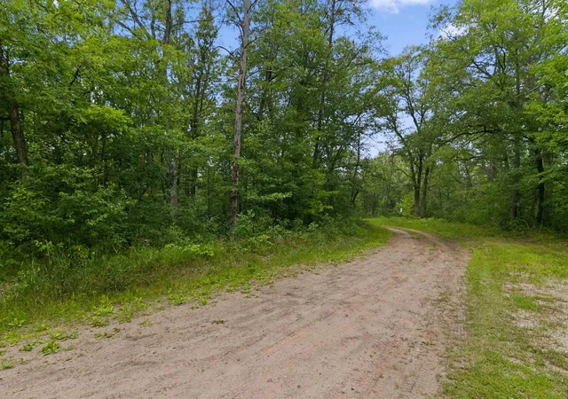 3rd image of V/L W Pontiac St, Baldwin, MI 49304 | MLS# 78080068598