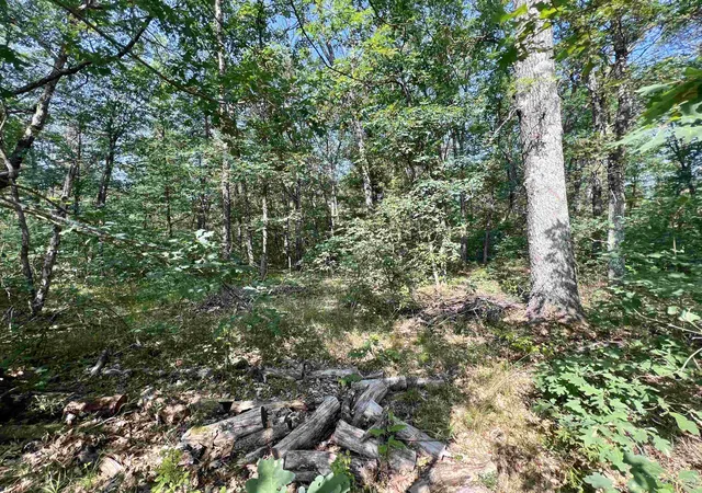 4th image of V/L W Pontiac St, Baldwin, MI 49304 | MLS# 78080068598