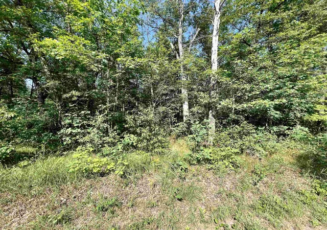 5th image of V/L W Pontiac St, Baldwin, MI 49304 | MLS# 78080068598