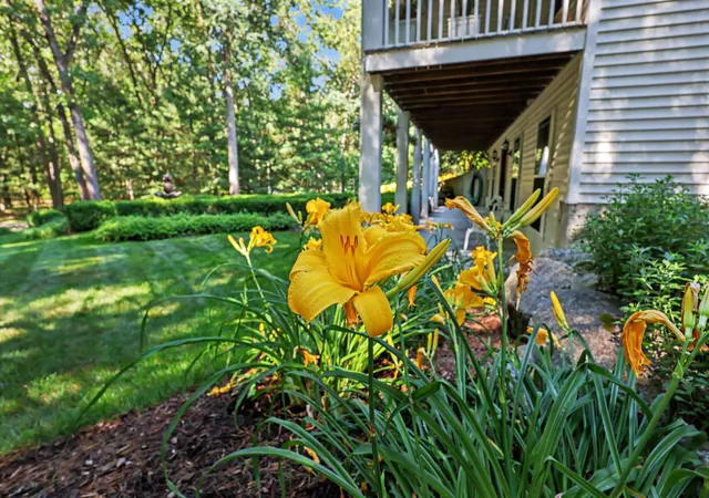 Photo 3 of Single family home for sale at 4137 Monroe Rd, Allegan, MI 49010 | MLS# 71026024070 | Listing updated on 2026-07-15