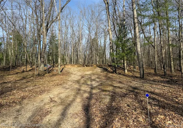 Photo 4 of Land for sale at 4701 Lake Rd, Farwell, MI 48622 | MLS# 20261037264 | Listing updated on 2026-09-01