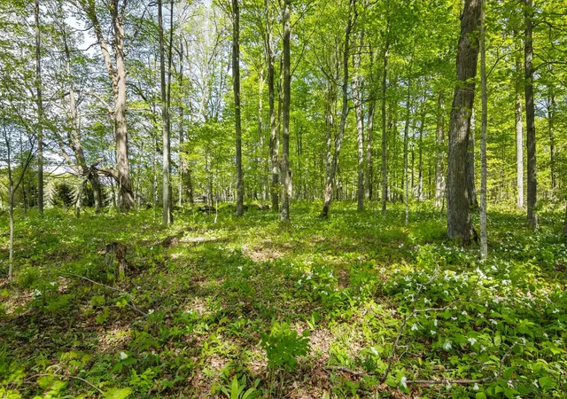 11th image of 2799 Lake Ann Rd, Interlochen, MI 49643 | MLS# 78080068642