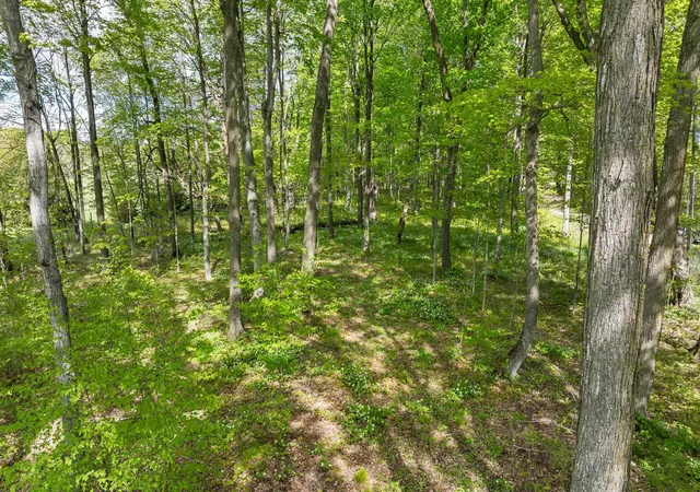 4th image of 2799 Lake Ann Rd, Interlochen, MI 49643 | MLS# 78080068642