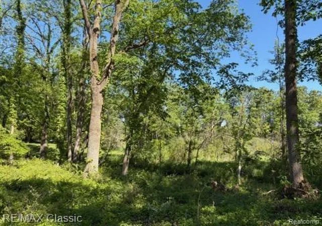 Photo 1 of Sale Pending at 0000 Old Ml Rd, Pinckney, MI 48169 | MLS# 20261037446 | Listing updated on 2026-08-13