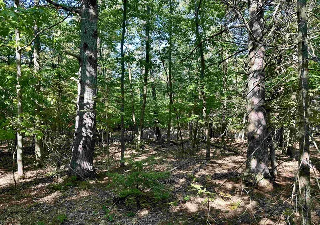 3rd image of Tbd Kings Hwy, St James Township Charlevoix, MI 49782 | MLS# 78080068674