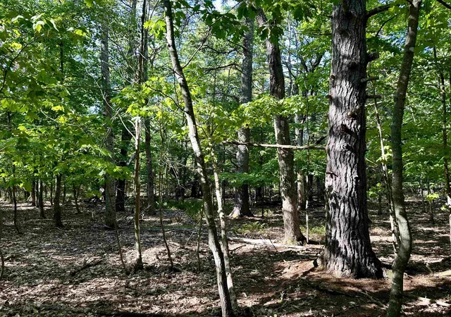 4th image of Tbd Kings Hwy, St James Township Charlevoix, MI 49782 | MLS# 78080068674